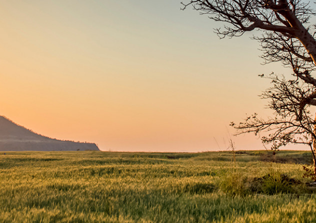 Insight 0033 backlit countryside dawn 599709