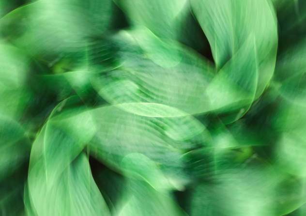 eugene golovesov Gnay8XR VjY unsplash v5