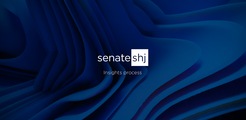 Insights process Insights process